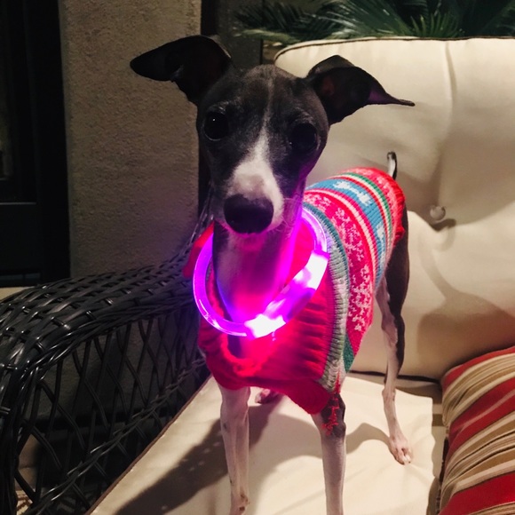 Meet your Posher, Linda - Picture 4 of 4